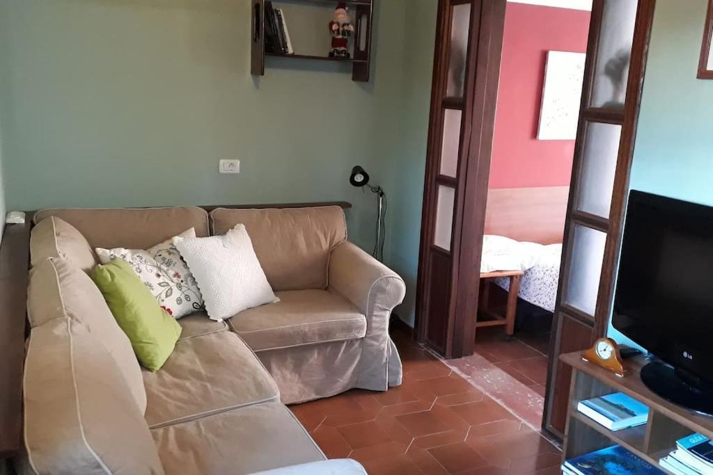 Apartamento Tranquilo En Una Casa Con Jardin 拉拉古纳 外观 照片