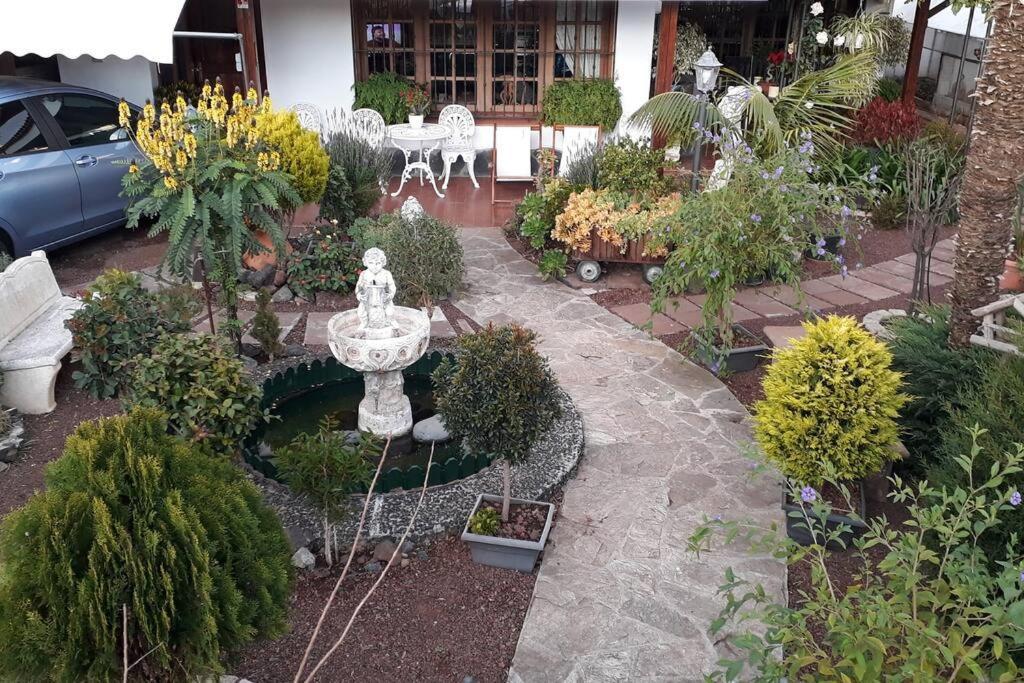 Apartamento Tranquilo En Una Casa Con Jardin 拉拉古纳 外观 照片