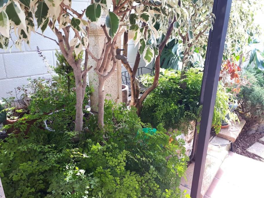 Apartamento Tranquilo En Una Casa Con Jardin 拉拉古纳 外观 照片