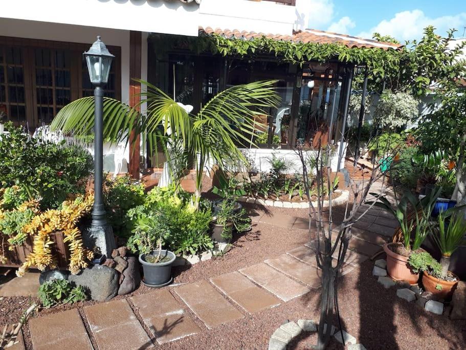 Apartamento Tranquilo En Una Casa Con Jardin 拉拉古纳 外观 照片